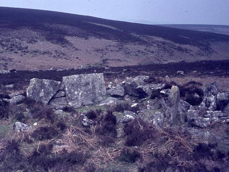 An image from the Dartmoor Trust Archive