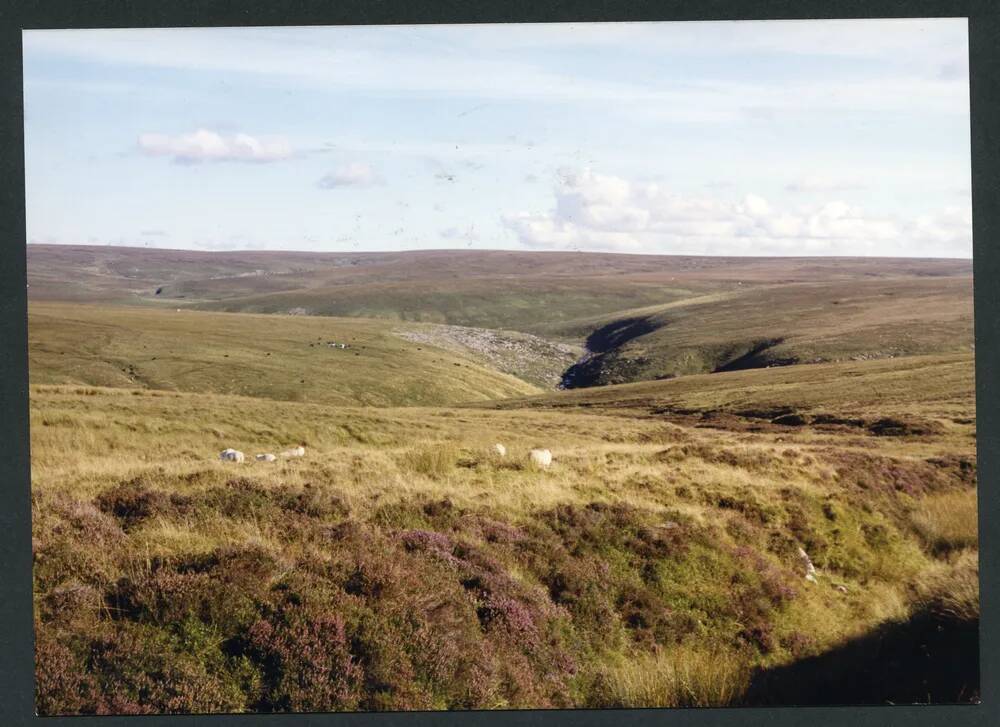 An image from the Dartmoor Trust Archive