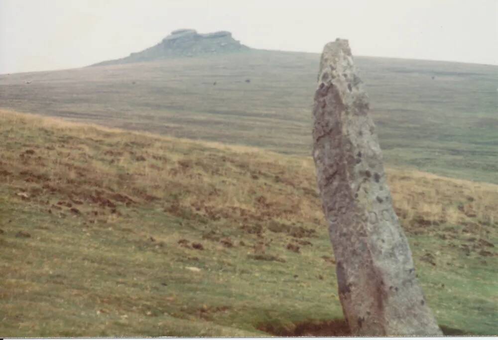 The Longstone, Shovel Down 