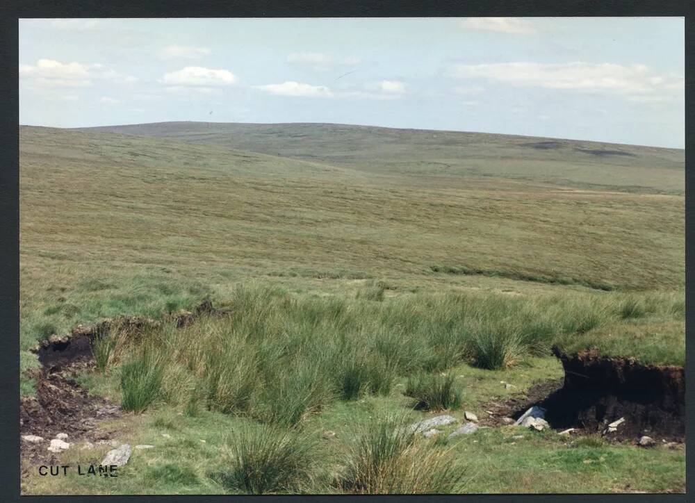 26/46 Whitehorse Hill, East Dart source from Head of Cut Lane stream 18/8/1991