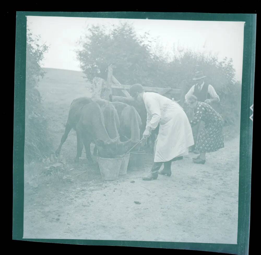 An image from the Dartmoor Trust Archive