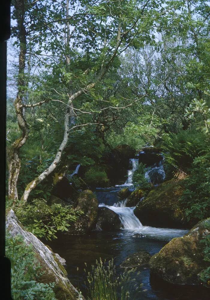 An image from the Dartmoor Trust Archive