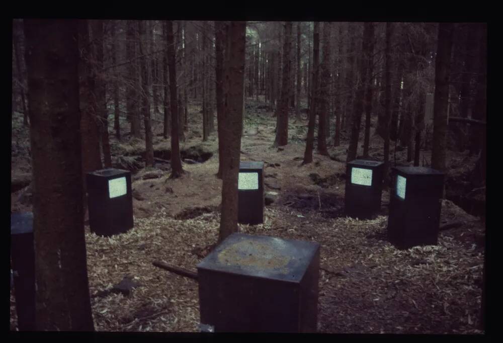 An image from the Dartmoor Trust Archive