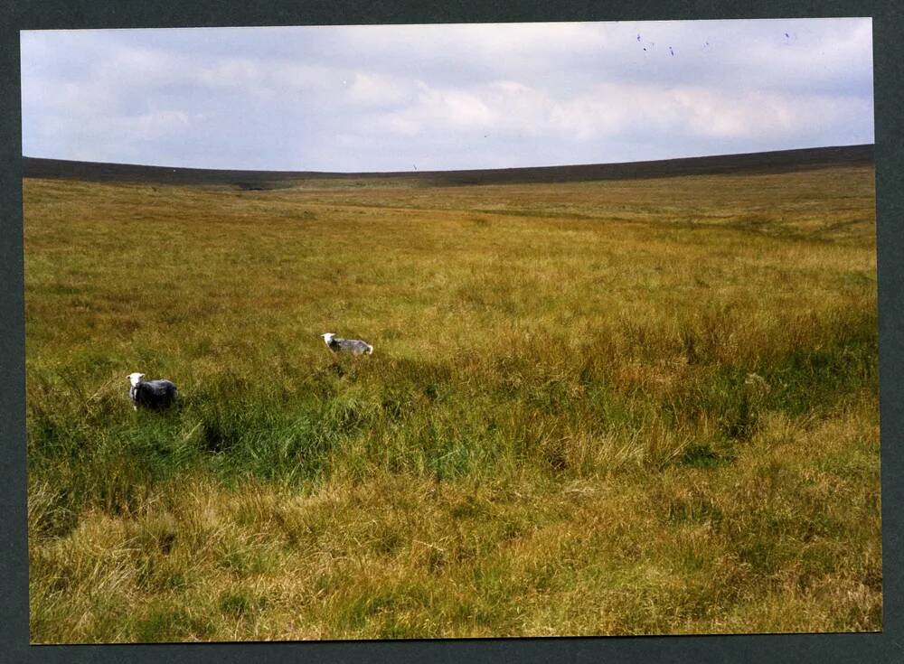 An image from the Dartmoor Trust Archive