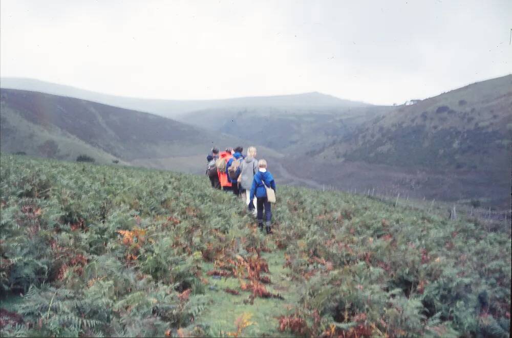 walking group