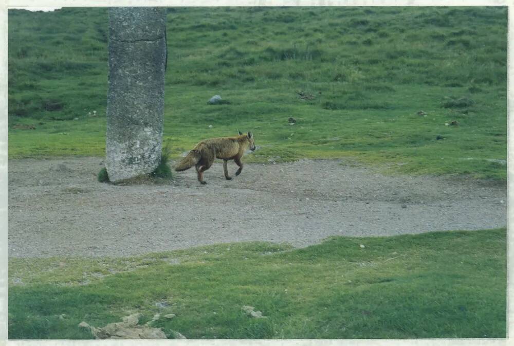 An image from the Dartmoor Trust Archive