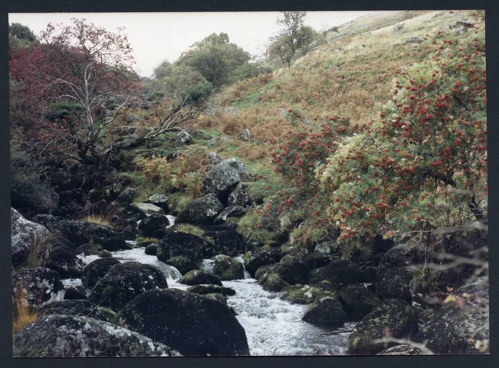 An image from the Dartmoor Trust Archive