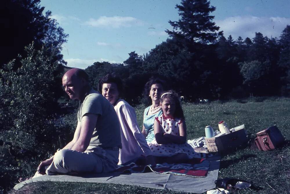 An image from the Dartmoor Trust Archive