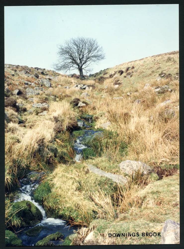 An image from the Dartmoor Trust Archive