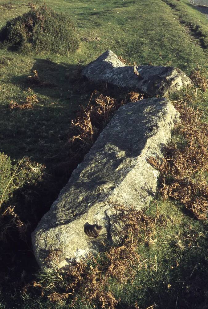 An image from the Dartmoor Trust Archive