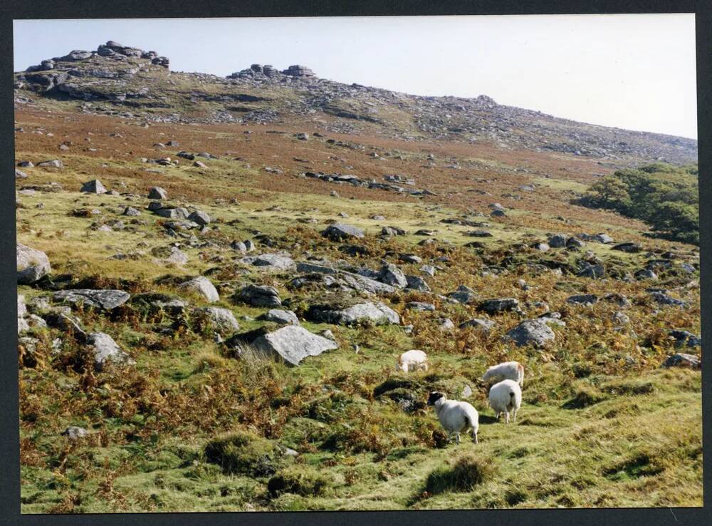 An image from the Dartmoor Trust Archive