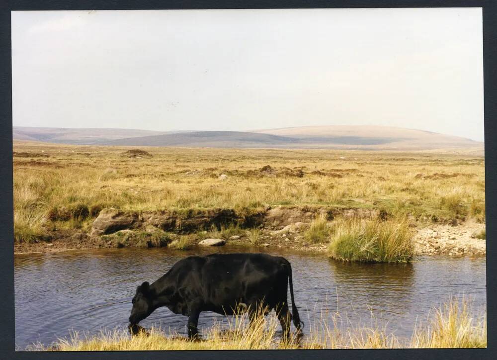 An image from the Dartmoor Trust Archive