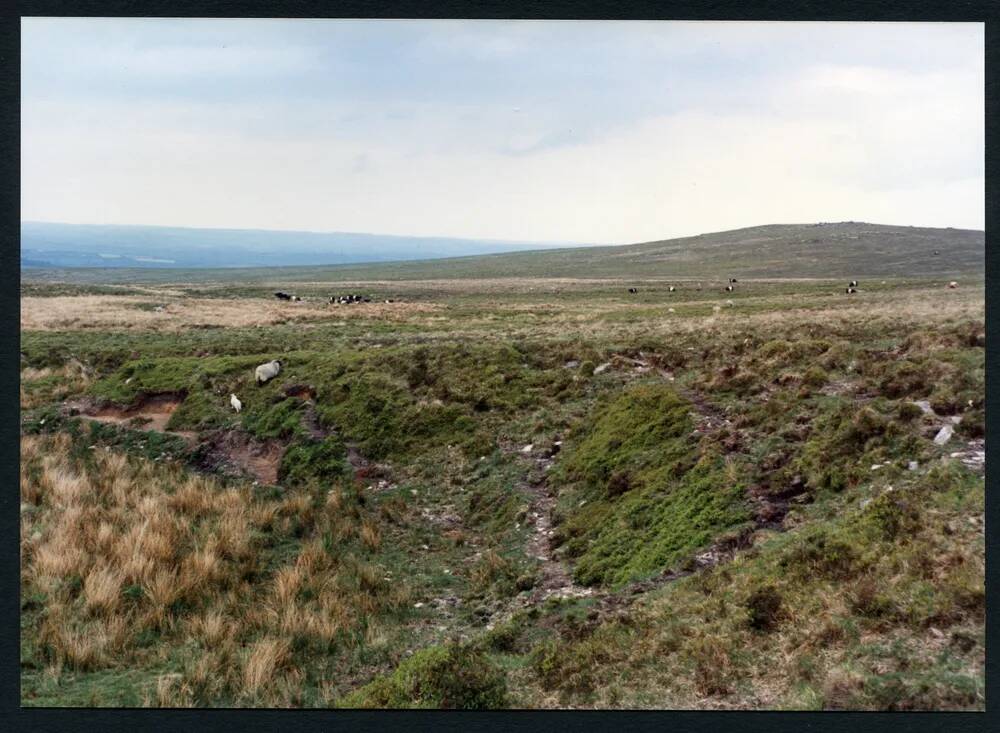 18/29 Near source of Red Brook to Wacka Tor 29/5/1991