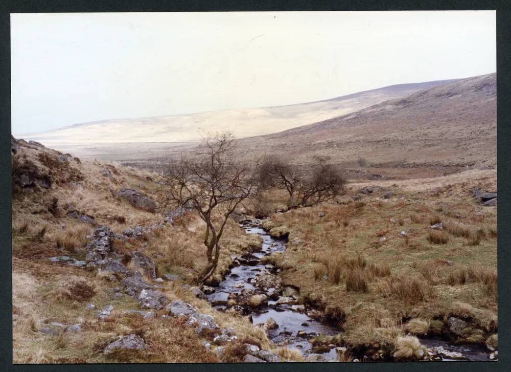 An image from the Dartmoor Trust Archive