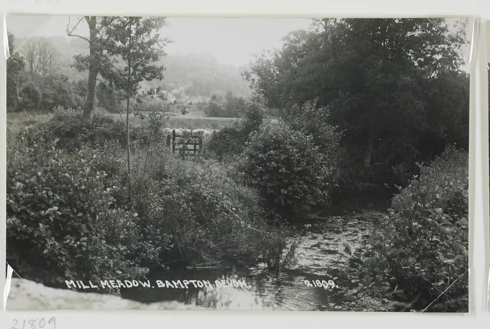 Mill Meadow Bampton