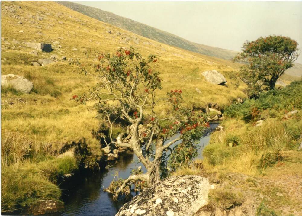 An image from the Dartmoor Trust Archive