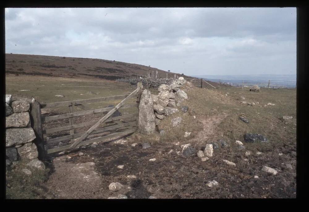 Cornditch nr. Haytor