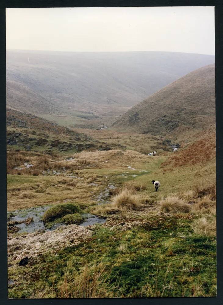 An image from the Dartmoor Trust Archive