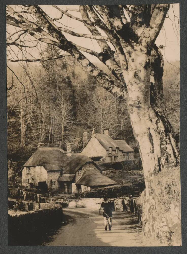 An image from the Dartmoor Trust Archive