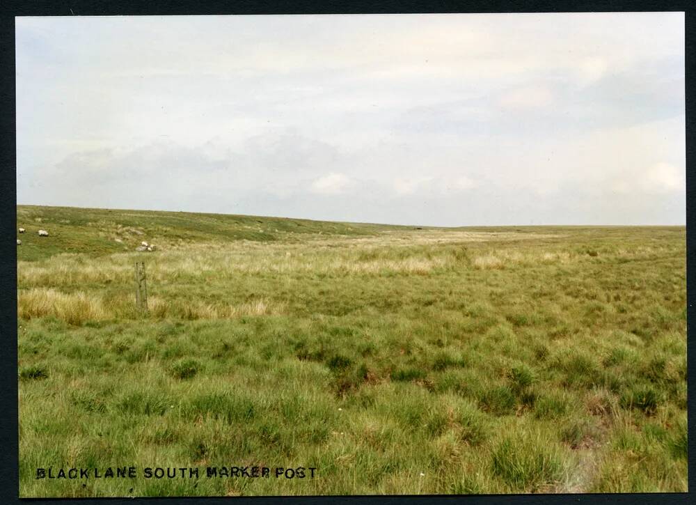 An image from the Dartmoor Trust Archive