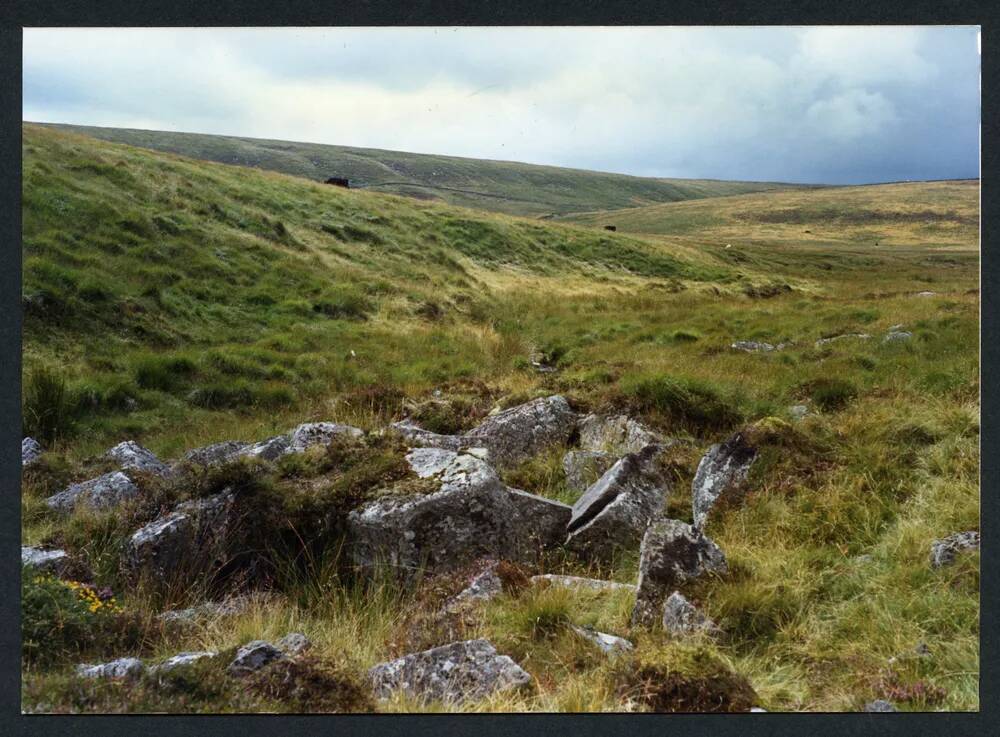 An image from the Dartmoor Trust Archive