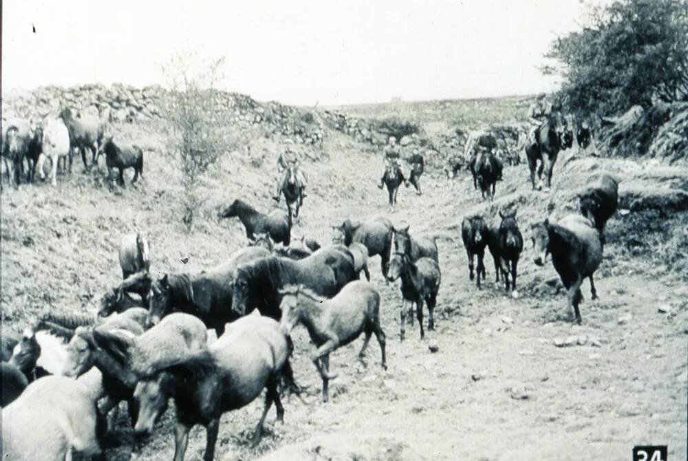 An image from the Dartmoor Trust Archive