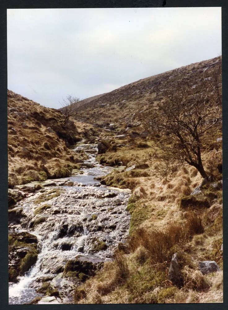 An image from the Dartmoor Trust Archive