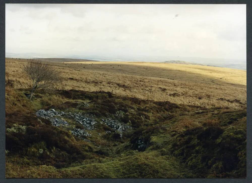 14/9 Workings Bala Brook to Zeal Hill 28/2/1991