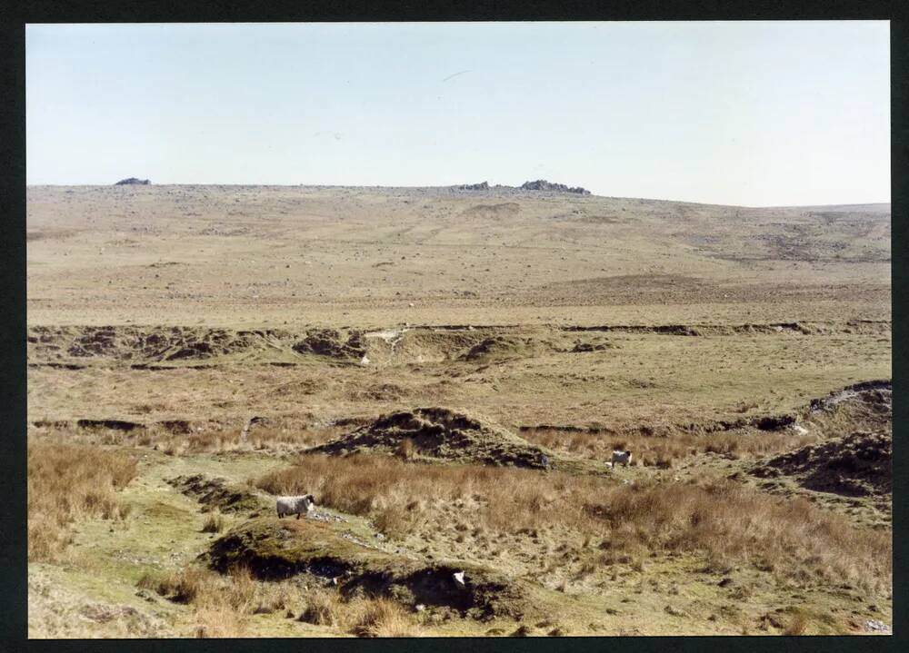 2/21 Near Blackabrook 18/4/1994