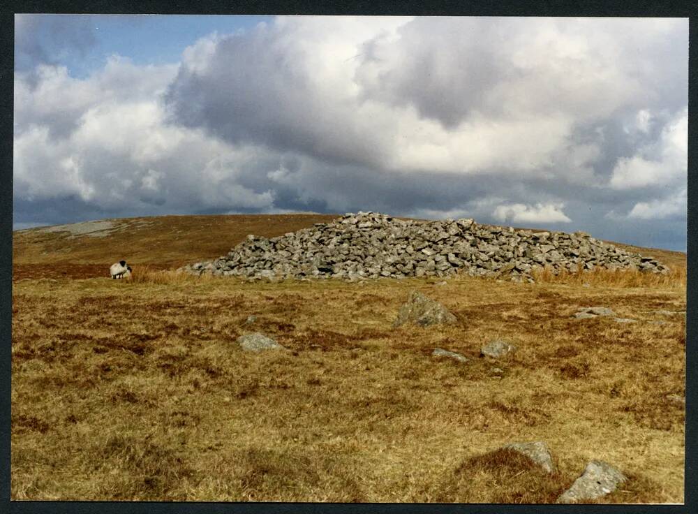 An image from the Dartmoor Trust Archive