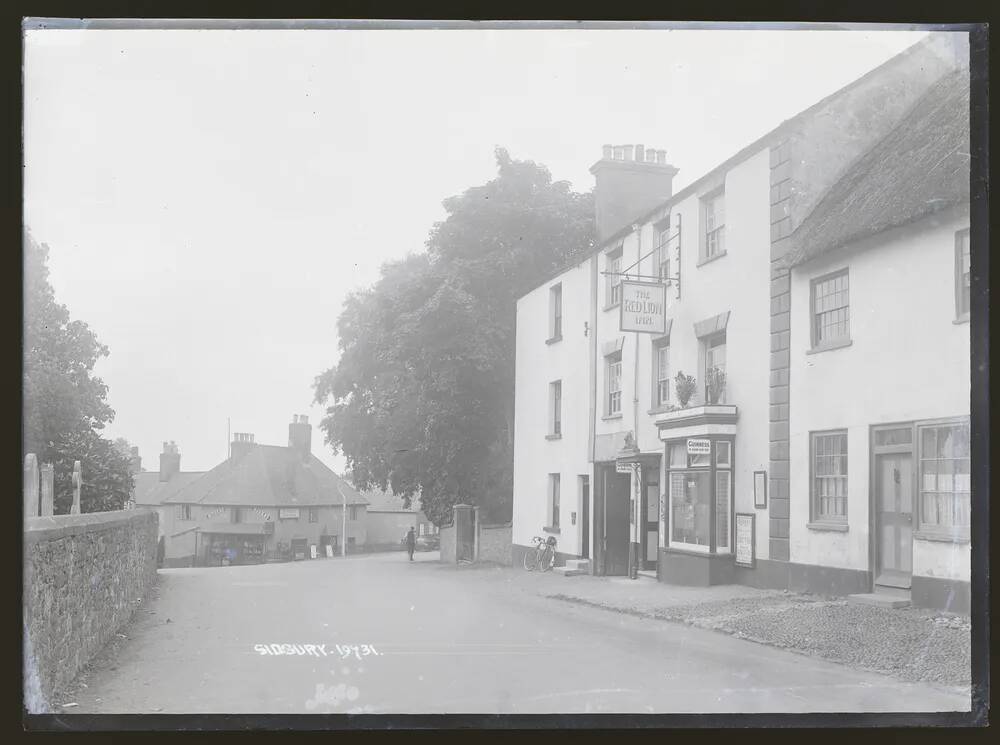 Street view, Sidbury