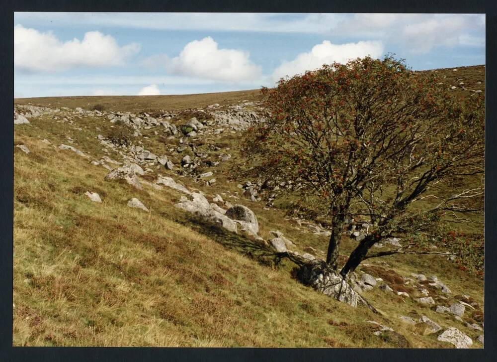 An image from the Dartmoor Trust Archive