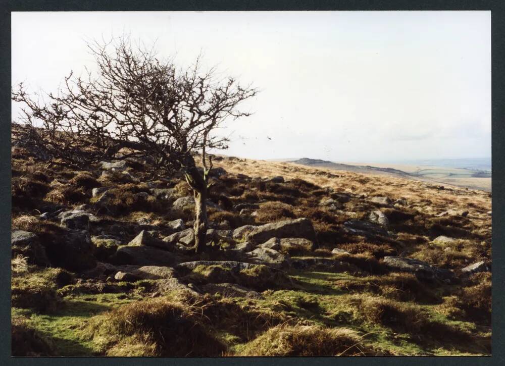 An image from the Dartmoor Trust Archive