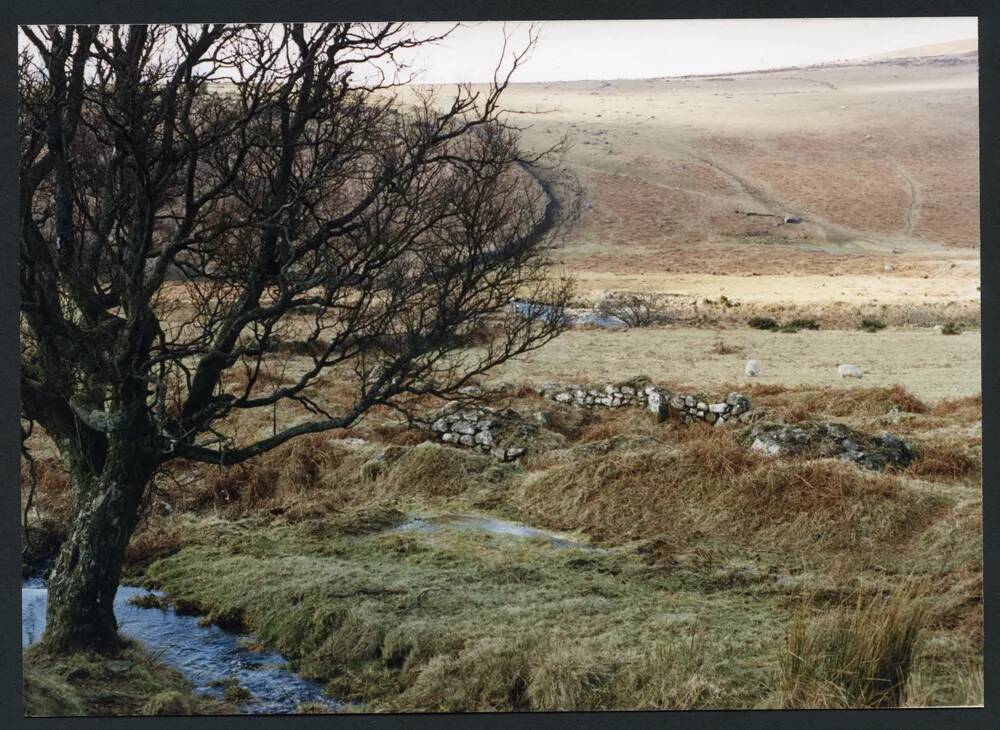 An image from the Dartmoor Trust Archive