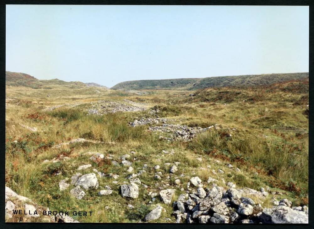 5/52 Wallabrook above Warren House 4/9/1991