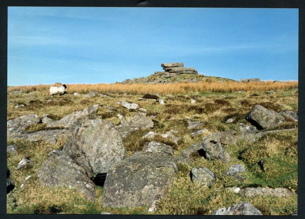 An image from the Dartmoor Trust Archive