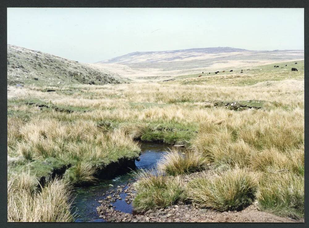 An image from the Dartmoor Trust Archive