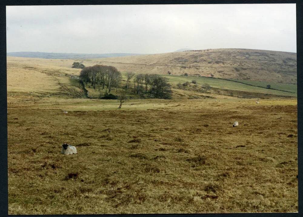 11/10 Above W Glaze Brook to Glascombe Corner 7/3/1991