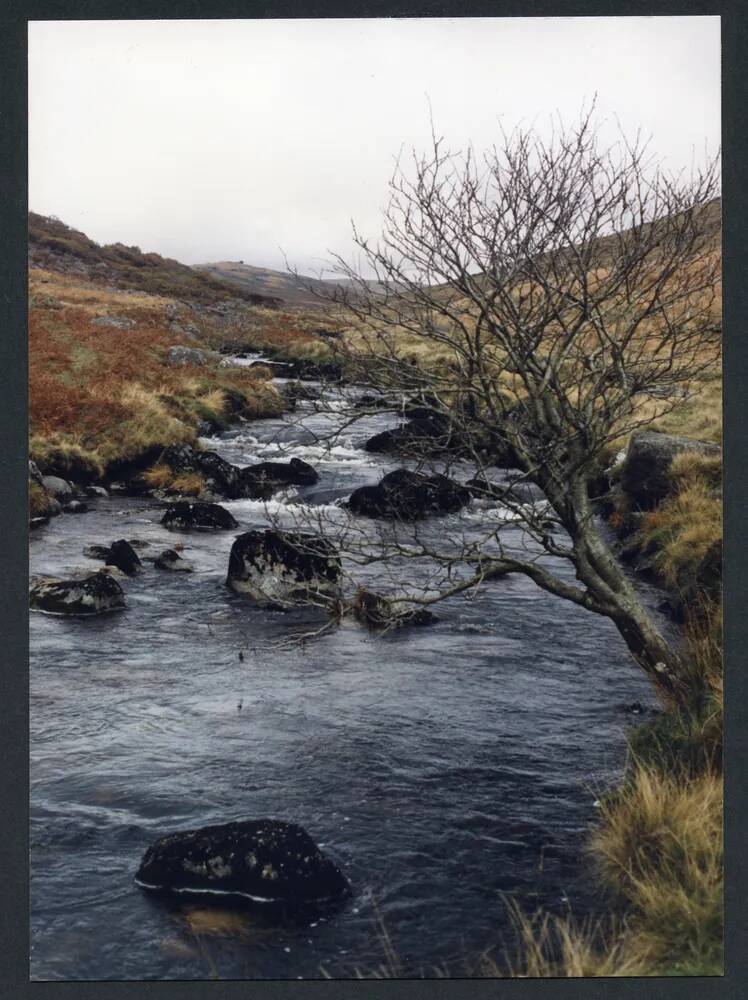 An image from the Dartmoor Trust Archive