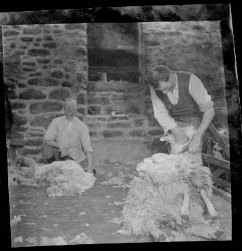 An image from the Dartmoor Trust Archive