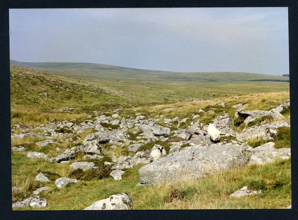 An image from the Dartmoor Trust Archive