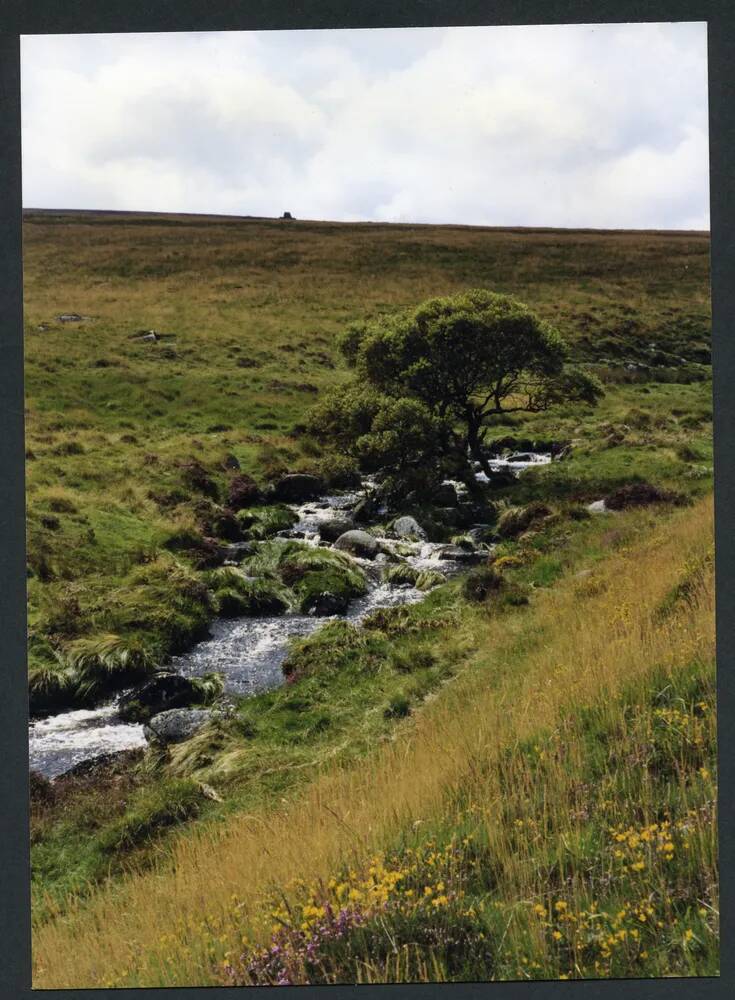 An image from the Dartmoor Trust Archive