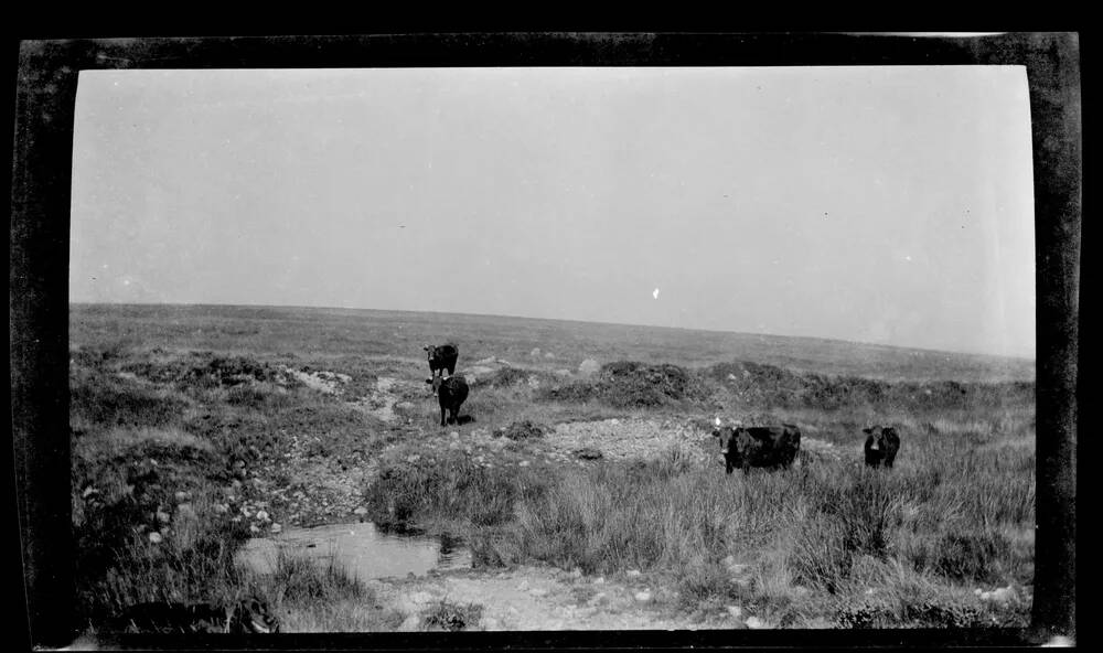 An image from the Dartmoor Trust Archive