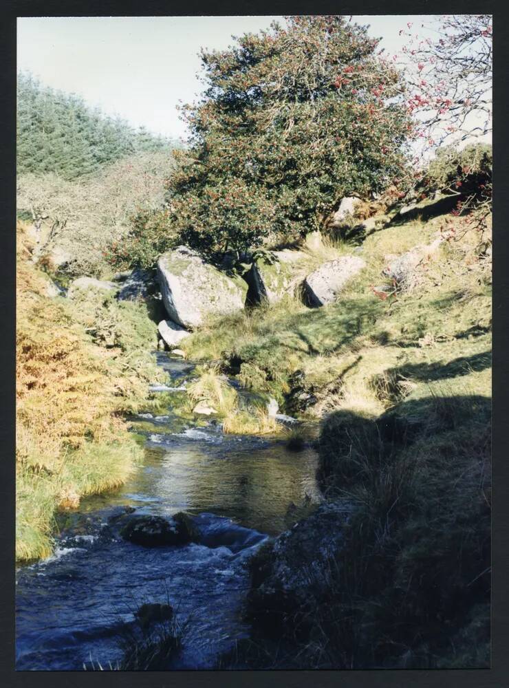 An image from the Dartmoor Trust Archive