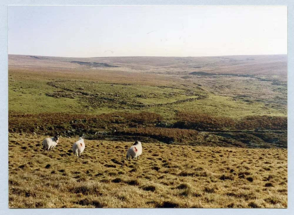 An image from the Dartmoor Trust Archive