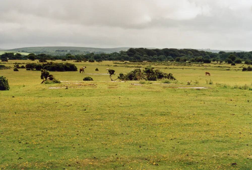 An image from the Dartmoor Trust Archive