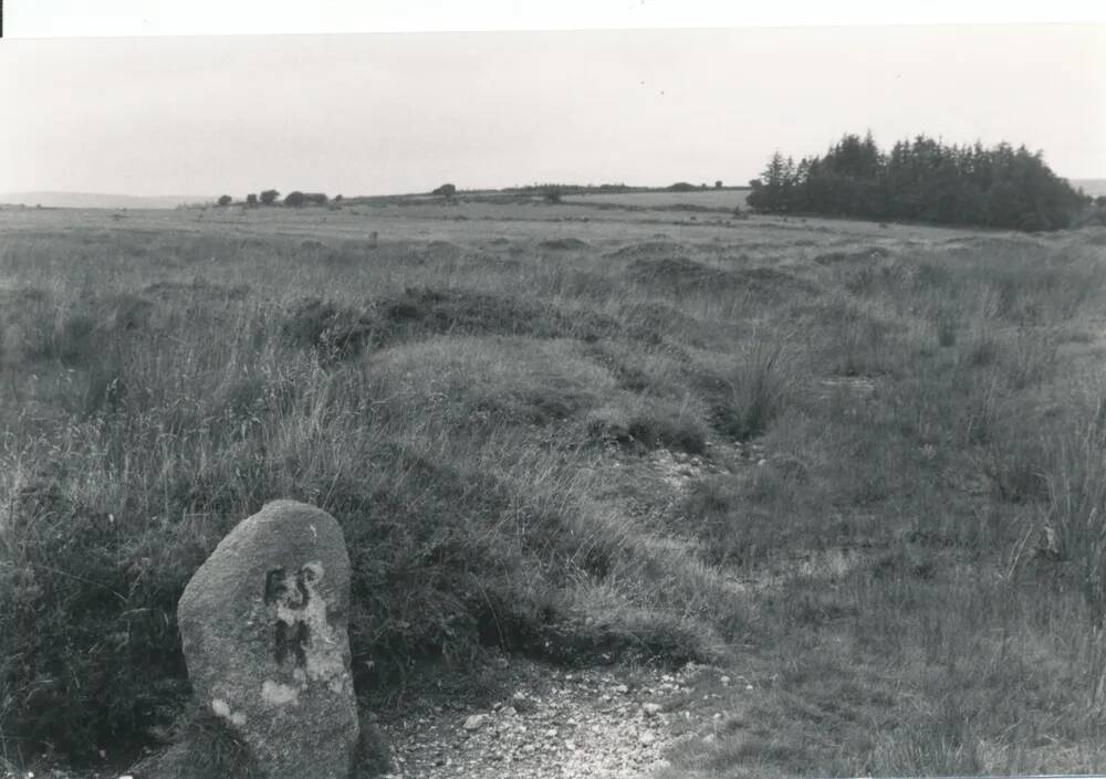 Stone on Riddon Ridge