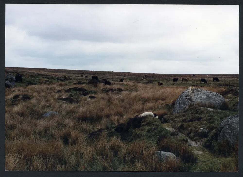 An image from the Dartmoor Trust Archive