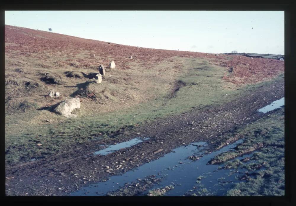 The Cantrell Stone Row