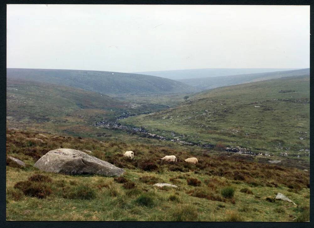 An image from the Dartmoor Trust Archive